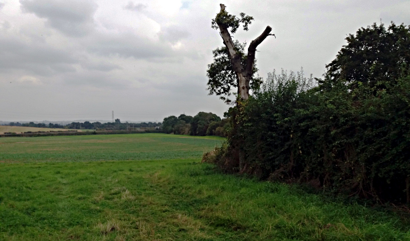 Waypoint 2